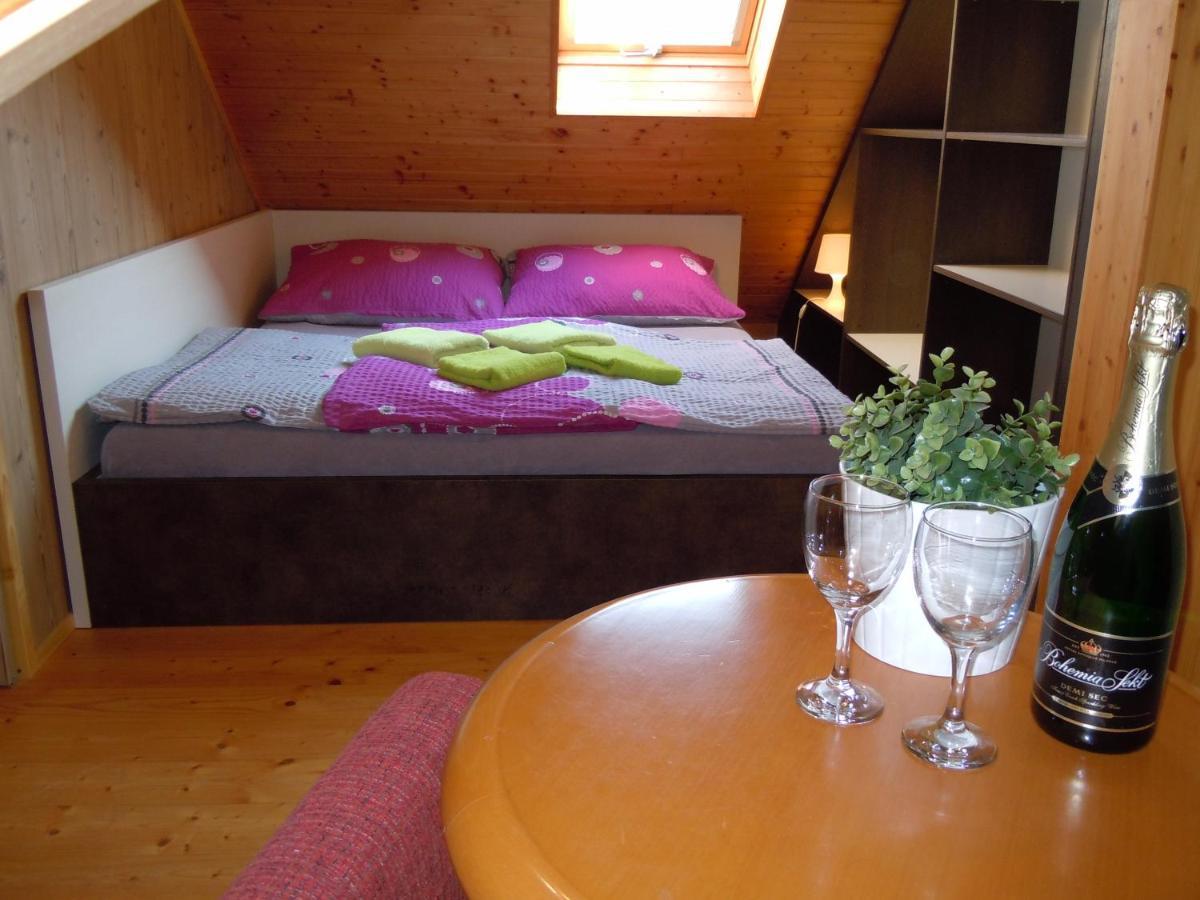 Apartment Wellness Vlckova Kültér fotó