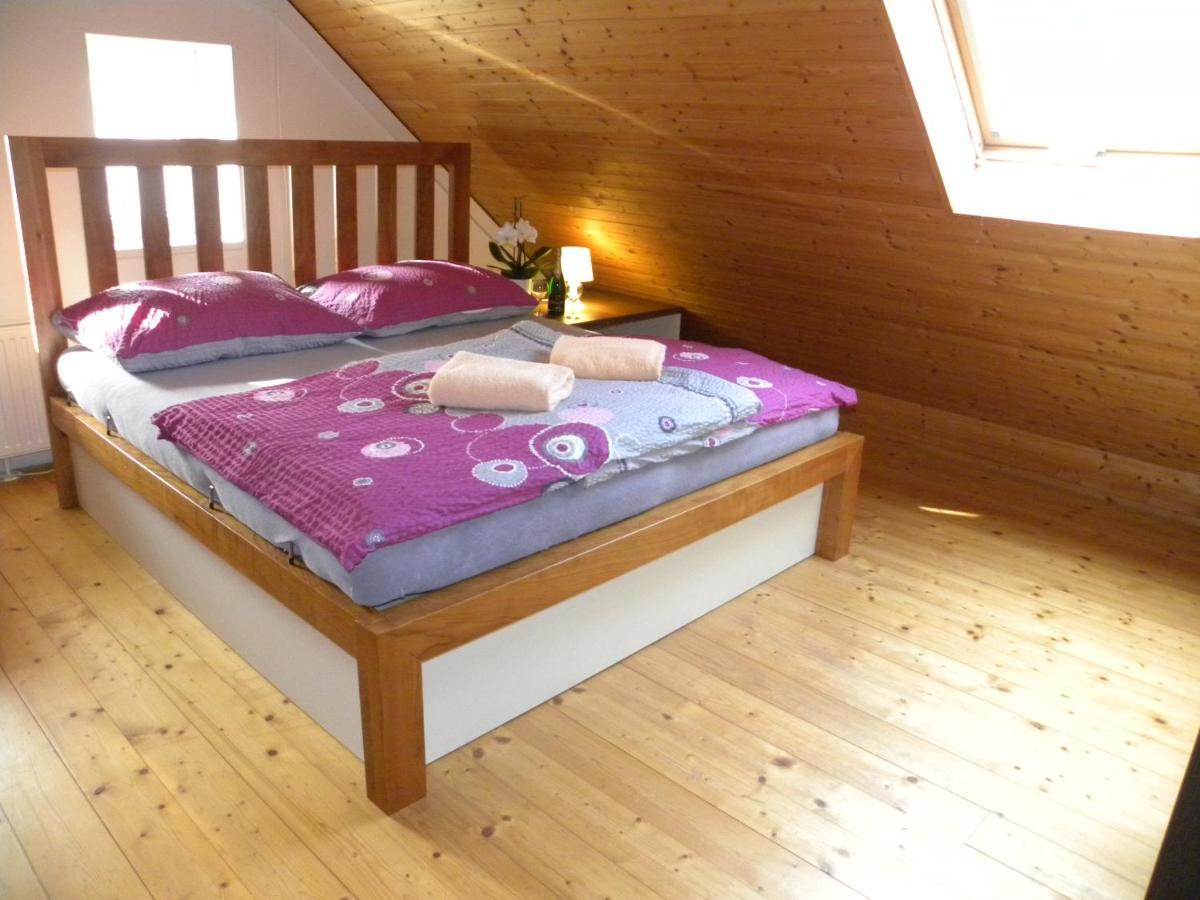 Apartment Wellness Vlckova Kültér fotó
