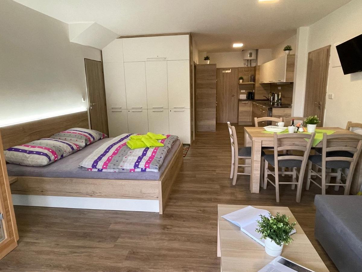 Apartment Wellness Vlckova Kültér fotó