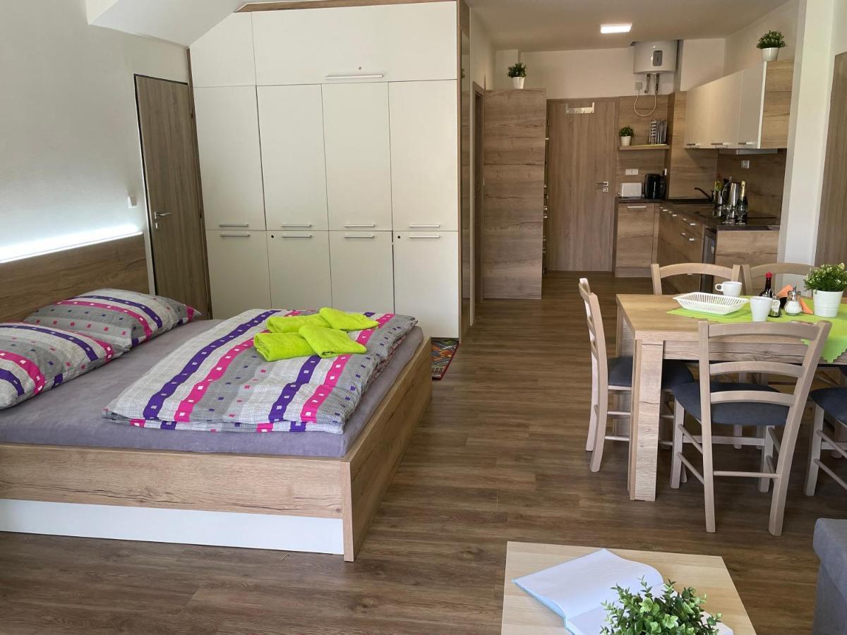 Apartment Wellness Vlckova Kültér fotó