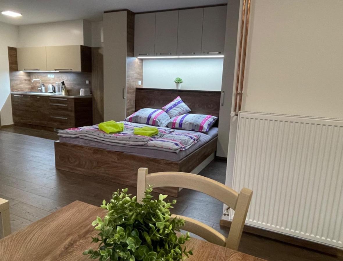 Apartment Wellness Vlckova Kültér fotó