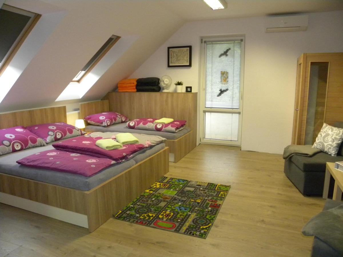 Apartment Wellness Vlckova Kültér fotó